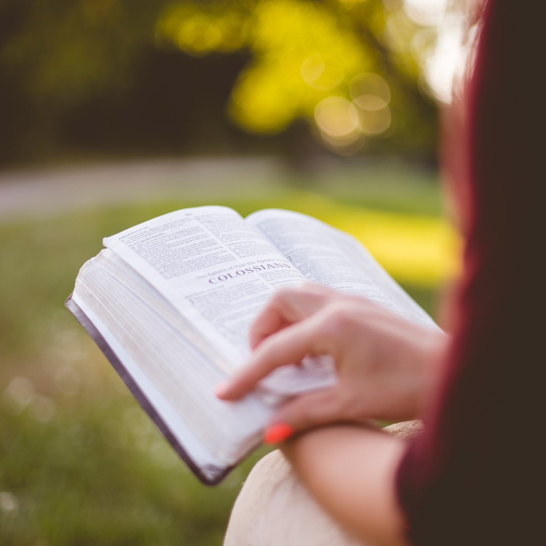 Pessoa estudando a Bíblia ao ar livre em momento devocional